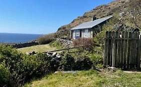 Dave'S Wee House